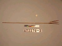 藏品(三鏃竹箭)的圖片